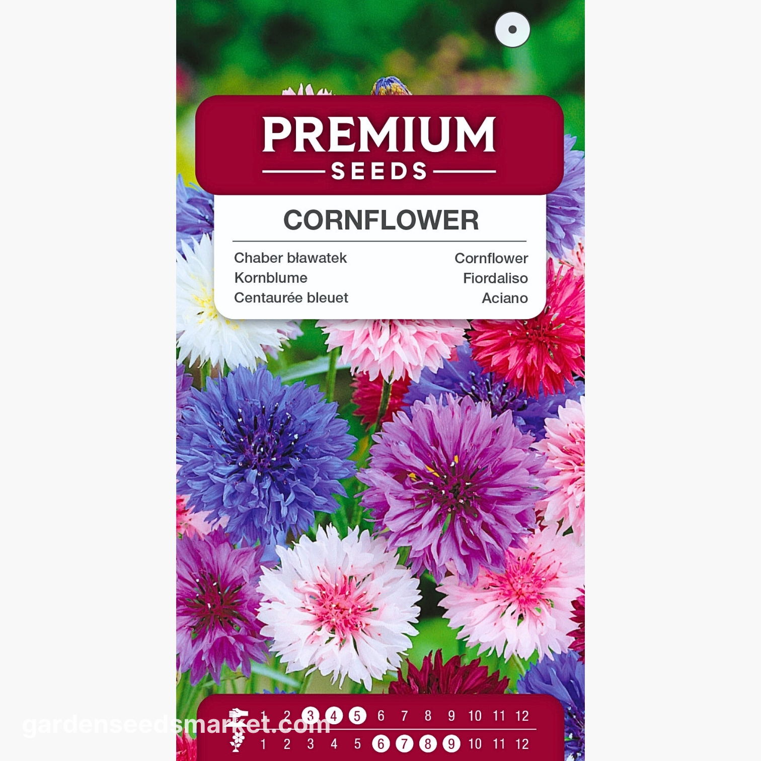 Cornflower Bachelor Button BLUE DWARF Cutflowers HEIRLOOM Non-GMO 400 Seeds - Foto 6