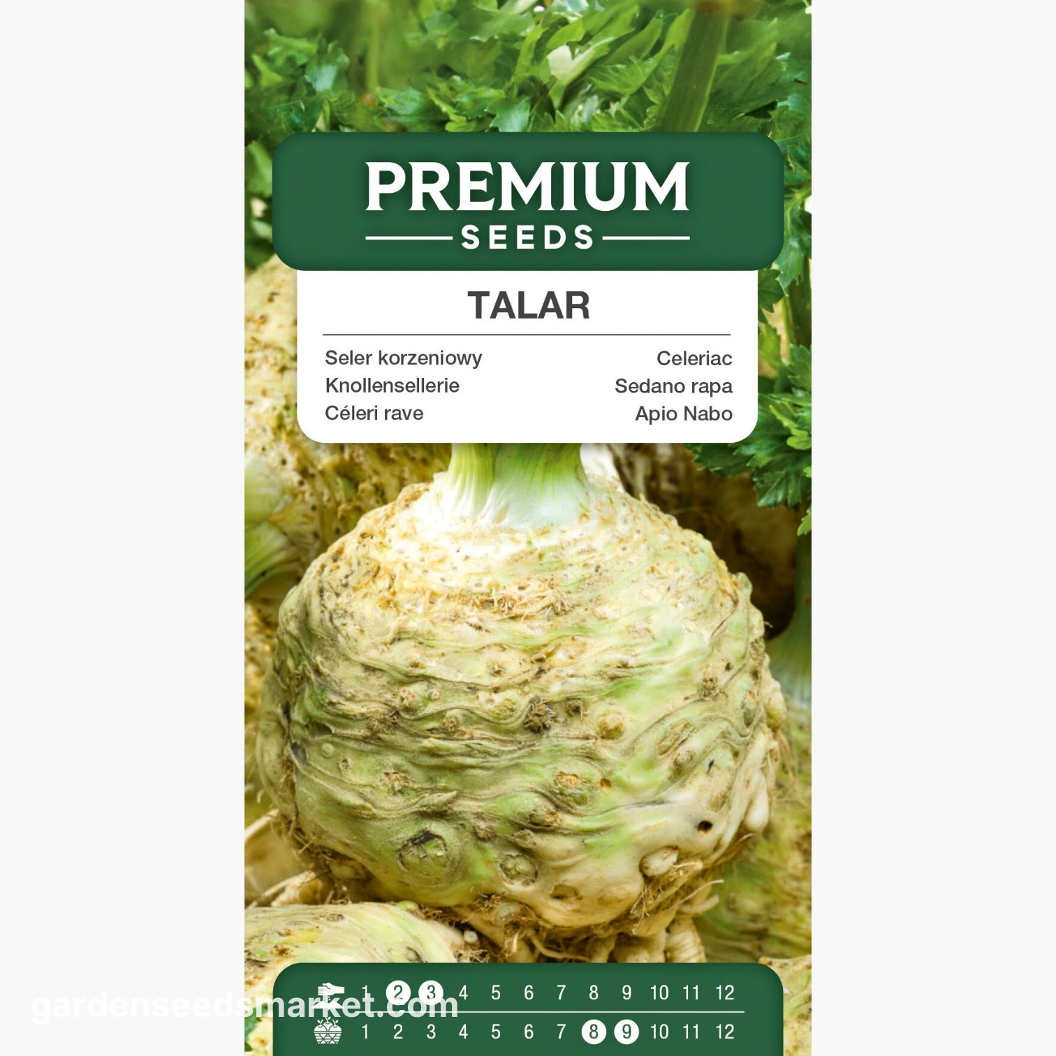 Céleri rave - Talar - Saveur aromatique riche, excellent stockage - Graines  fraîches – Garden Seeds Market | Livraison gratuite