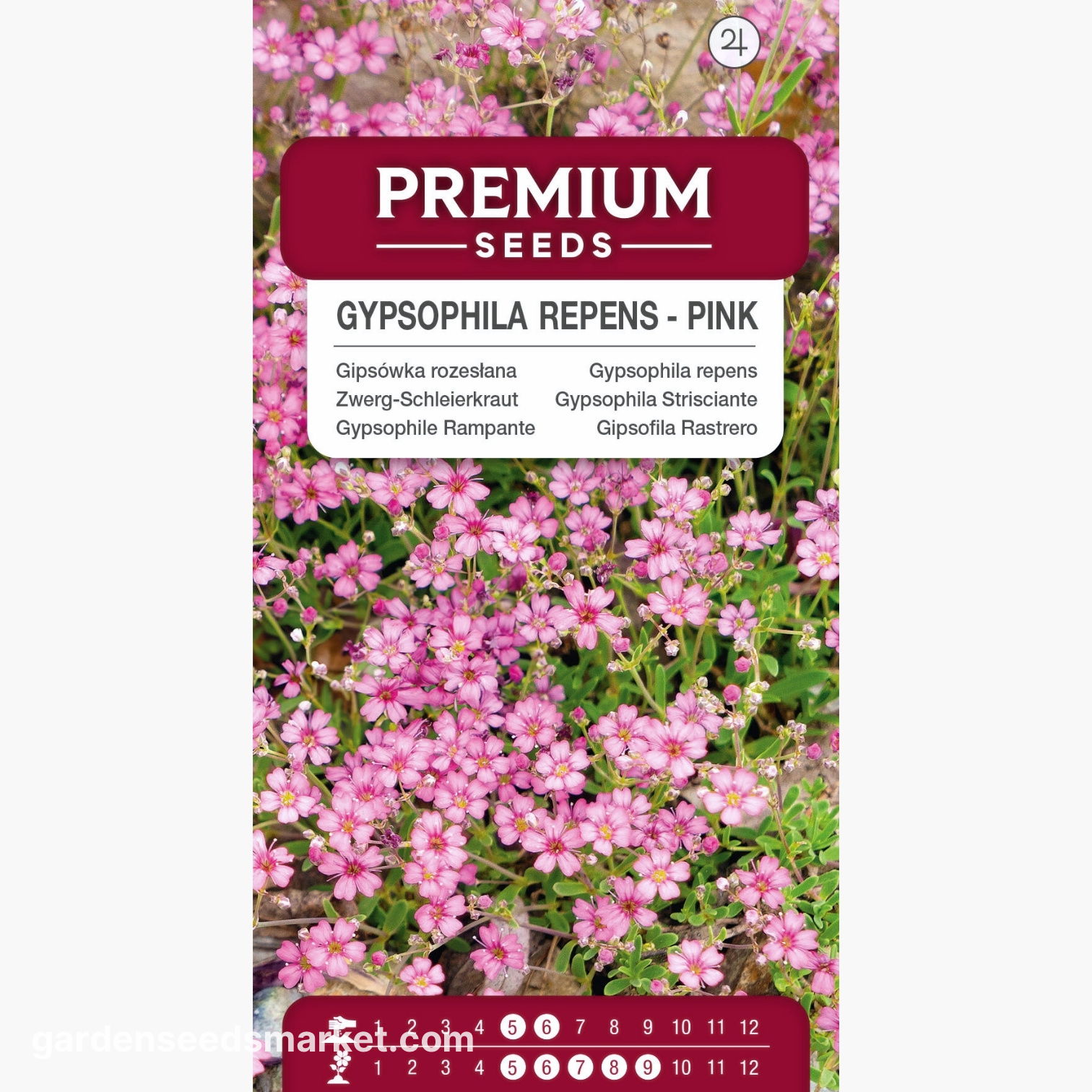 ピンクの高山カスミソウ;忍び寄る赤ちゃんの息 - – Garden Seeds