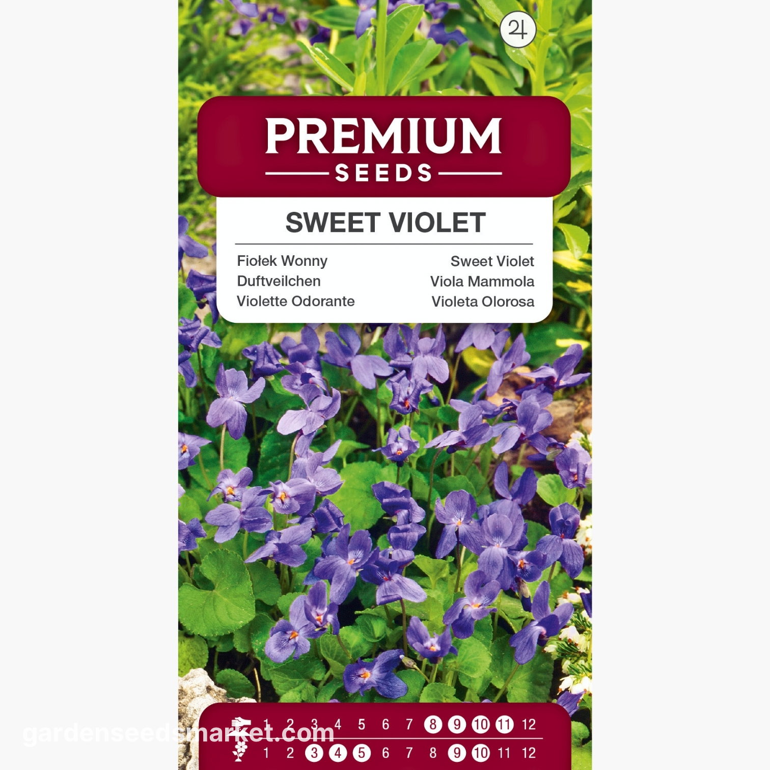 Sweet Violet - Viola odorata - Gentle bloom with soft fragrance - Fresh  Seeds  Garden Seeds Market | Free shipping