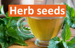 Herbs