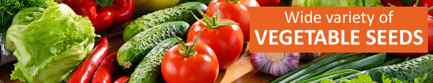 Vegetable seeds