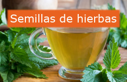 Herbs