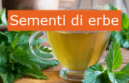 Herbs