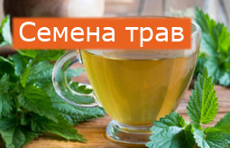 Herbs