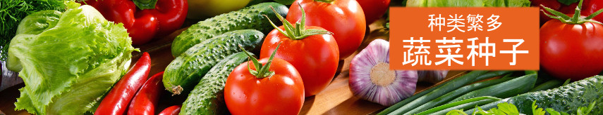 Vegetable seeds
