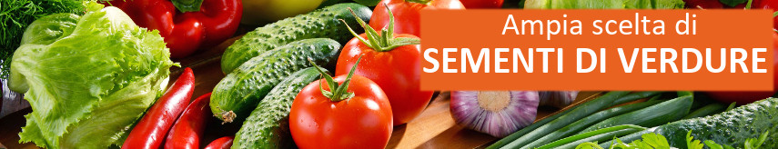 Vegetable seeds