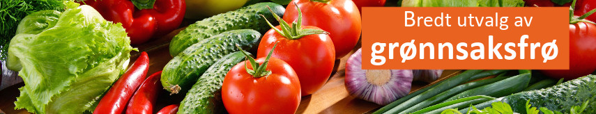 Vegetable seeds