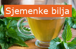 Herbs