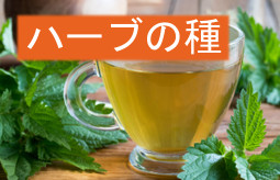 Herbs