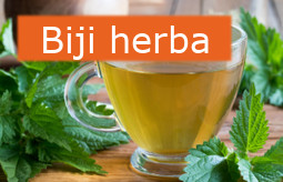 Herbs