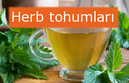 Herbs