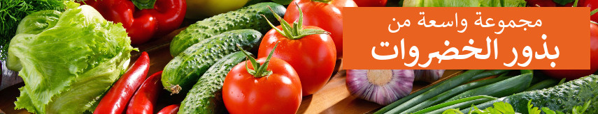 Vegetable seeds