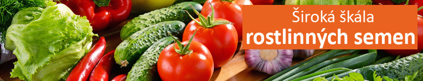 Vegetable seeds
