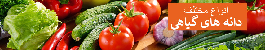 Vegetable seeds