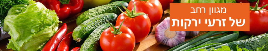 Vegetable seeds
