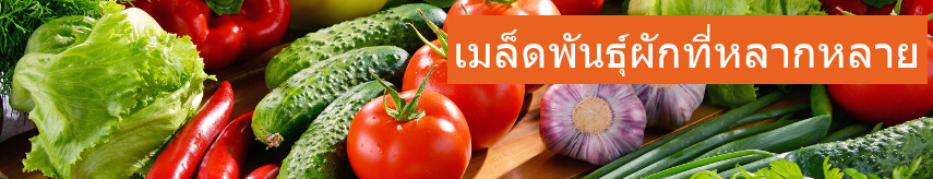 Vegetable seeds