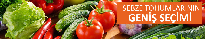 Vegetable seeds