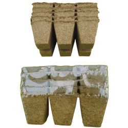 Square peat pots 6 x 6 cm - 36 pieces