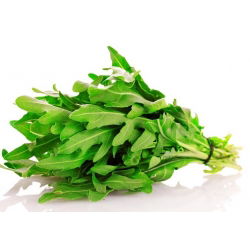 Biji roket saka Abadi - Diplotaxis tenuifolia - 200 biji - Eruca vesicaria - benih