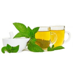 Lemon Balm, hạt Melissa - Melissa officinalis - 1000 hạt