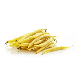 Hạt lùn Golden Saxa của Pháp - Phaseolus Vulgaris - 160 hạt - Phaseolus vulgaris L.