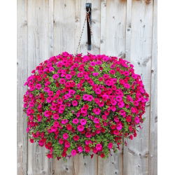Coș de flori agățat cu mată din fibră de nucă de cocos - 25 cm - 
