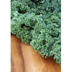 Hạt cải xoăn - Brassica oleracea - 300 hạt - Brassica oleracea L. var. sabellica L.