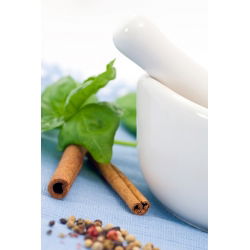 Hạt húng quế - Ocimum basilicum - 325 hạt