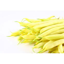 Hạt lùn Golden Saxa của Pháp - Phaseolus Vulgaris - 160 hạt - Phaseolus vulgaris L.