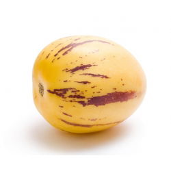 Melon Pear, semințe de Pepino - Solanum muricatum - 11 semințe