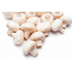 Cendawan padang putih untuk penanaman rumah dan taman - 3 l - Agaricus bisporus