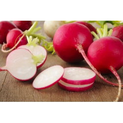 Seme Carmine Redish - Raphanus sativus - 850 semen - Raphanus sativus L. - semena