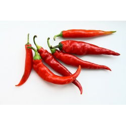 เมล็ดพริกป่น Cayenne - พริก annuum - 65 เมล็ด - Capsicum L.