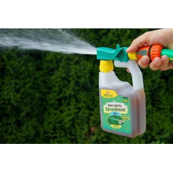 Thuja (arborvitae) fertilizer in a ready-to-use watering can - Zielony Dom® - 950 ml