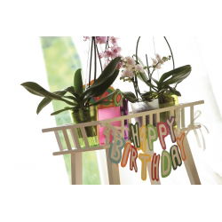 Oală rotundă cu flori de orhidee - Coubi DUOW - 13 cm - Verde - 