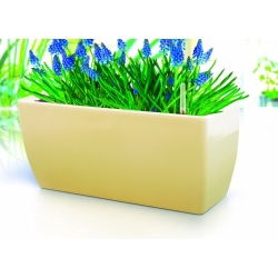 Vaso per piante "Coubi" 40x15 cm - caffè con latte - 