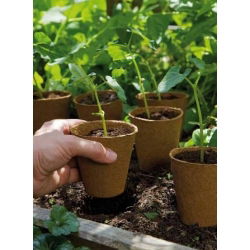 Runde torvpotter ø6 cm - 5 stk - 