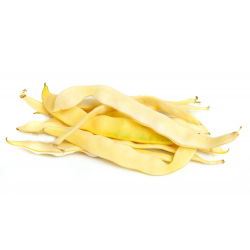Hạt Vining Bean Goldmarie - Phaseolus Vulgaris - Phaseolus vulgaris L.