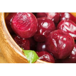 Pancar tohumları - Beta vulgaris var. conditiva - 1000 tohumlar