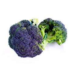 Broccoli - Miranda - Capete vibrante, de culoare mov, bogate în nutrienți - Semințe proaspete
