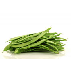 Wax Bean Hilds Hạt giống cây họ đậu - Phaseolus Vulgaris - 20 hạt - Phaseolus vulgaris L.
