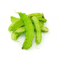 Asparagus Pea seeds - Tetragonolobus purpureus - 23 zaden