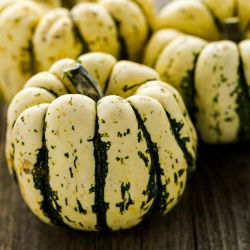 Pompoen - Sweet Dumpling - 23 zaden - Cucurbita pepo