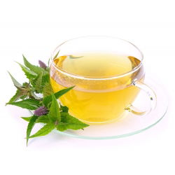 Hạt giống Hyssop khổng lồ Mexico - Agastache maxicana - 210 hạt - Agastache mexicana