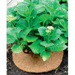 Kokosriekstu šķiedru sakņu aizsardzības paklājs - ø 40 cm - 3 gab - 