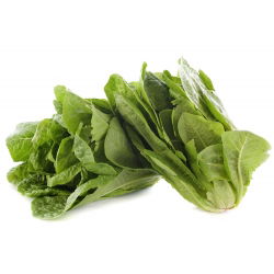 Salata Parris Otok Cos sjemena - Lactucaisative - 800 sjemenki - Lactuca sativa L. var. longifolia - sjemenke