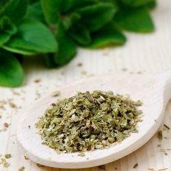 Hạt Oregano - Origanum Vulgare - 750 hạt