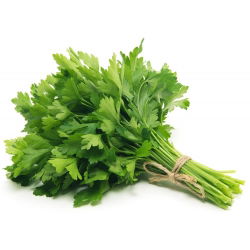 Магданоз Гигант на Италия - Petroselinum crispum - 1200 семена