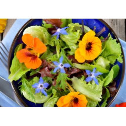 Edible Herbs and Flowers Mix seeds -  - benih